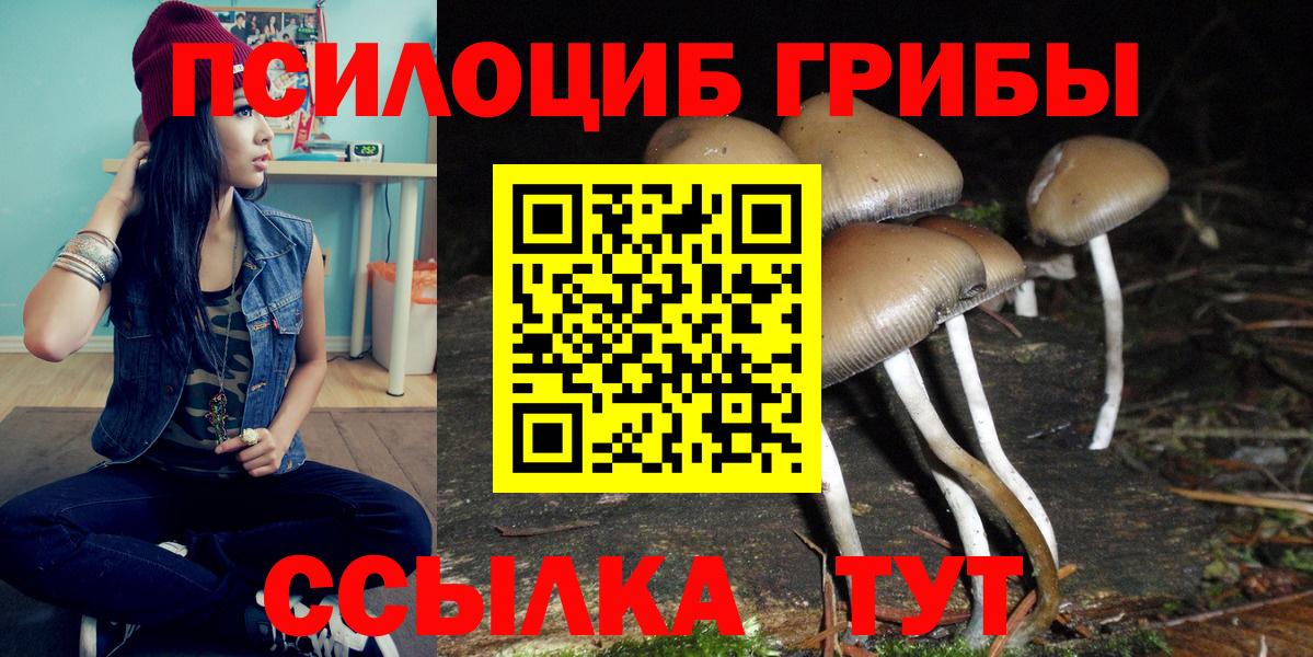 Псилоцибиновые грибы ЛСД  Вход с VPN  Алейск  Галлюциногенные грибы прущие грибы 