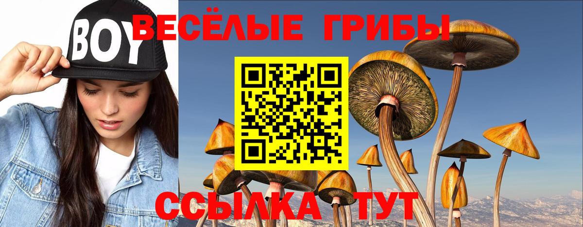 APVP Алейск